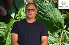 Komunikat Jagodowy PROCAM 11 z 27 05 2020