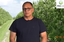 Komunikat Sadownycz Procam z 27.05.2020