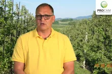 komunikaty sadownicze