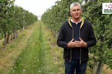 Komunikat sadowniczy – Robert Binkiewicz, Agrosimex, 20.05.2020