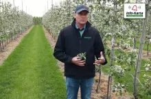 komunikaty sadownicze