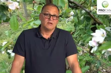 komunikat sadowniczy