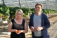 pierwsze polskie truskawki2020