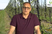 komunikat sadowniczy procam