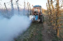 ochrona sadu przed przymrozkami 2020