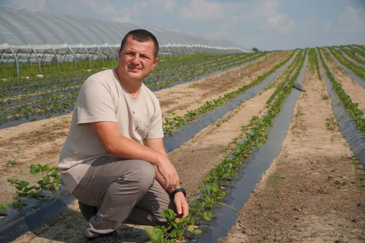 Albert Zwierzyński Doradca Jagodowy