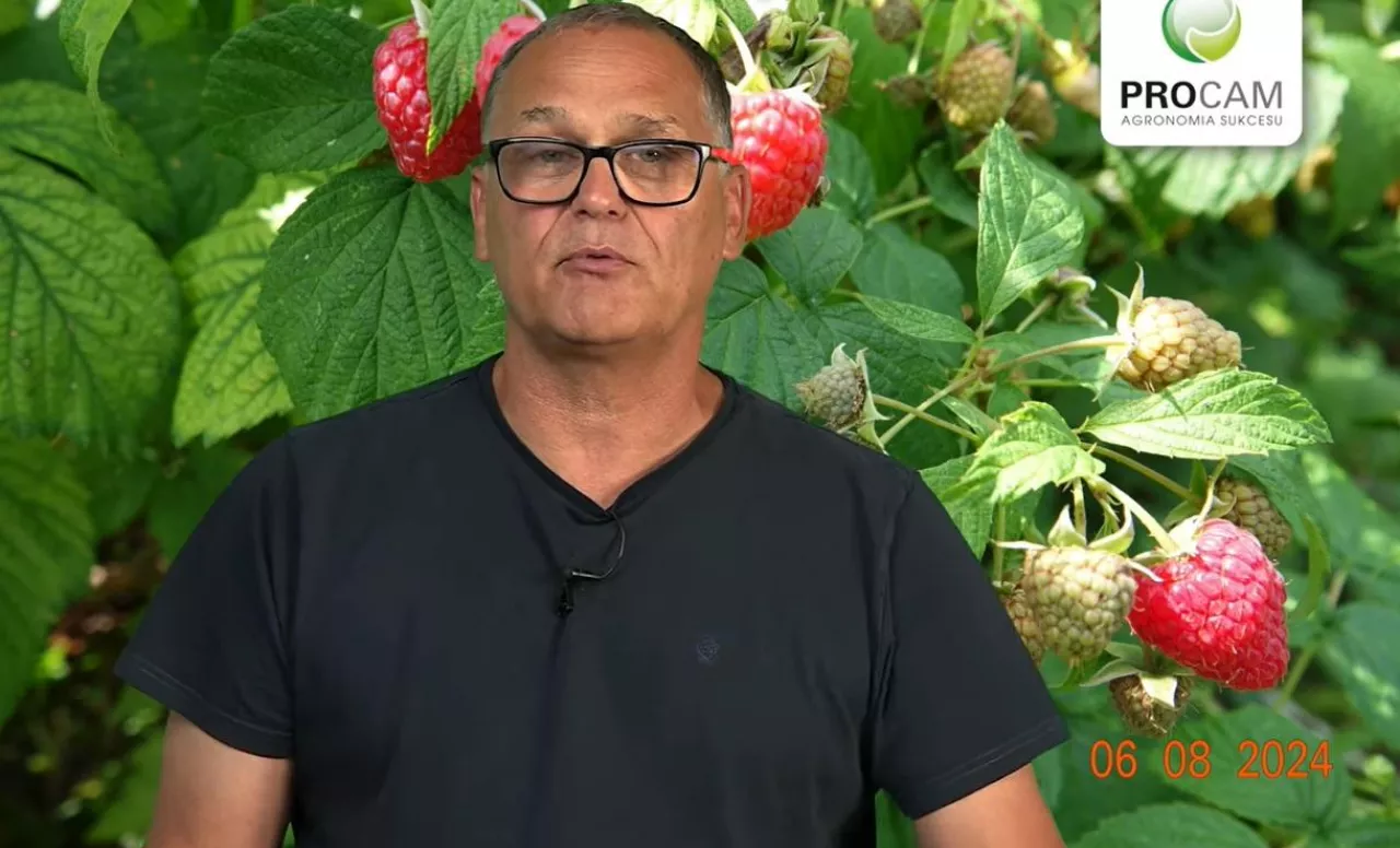 Krzysztof Gasparski Procam Polska