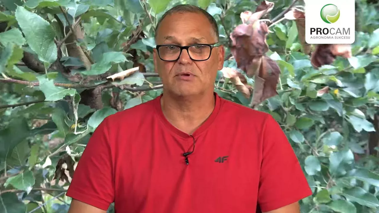 dr Krzysztof gasparski