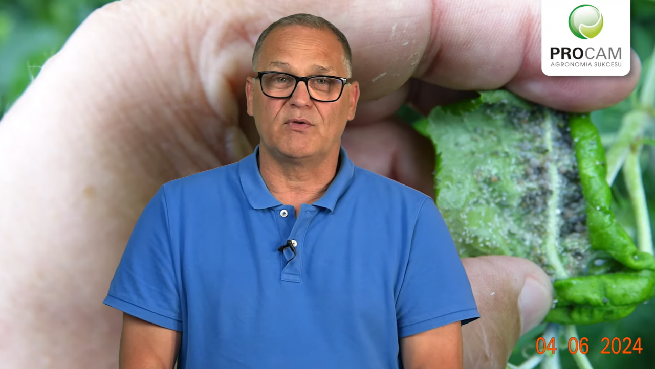 dr Krzysztof Gasparski