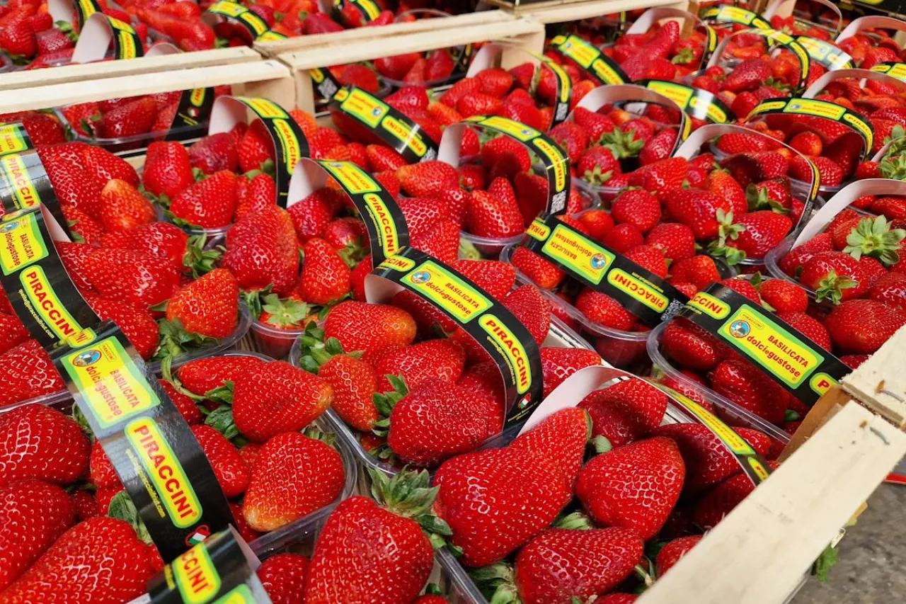 Rynek hurtowy Rimini