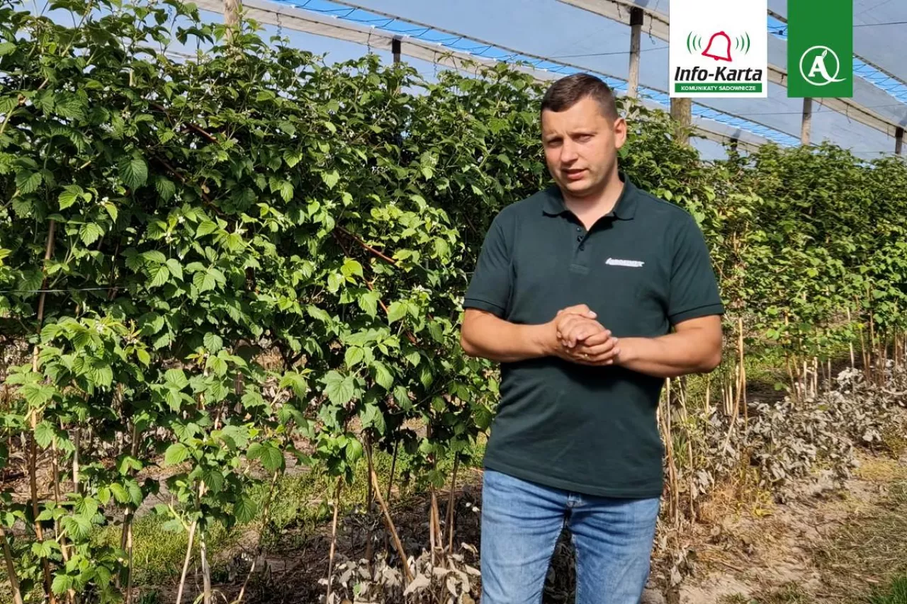 komunikat tomasz domański