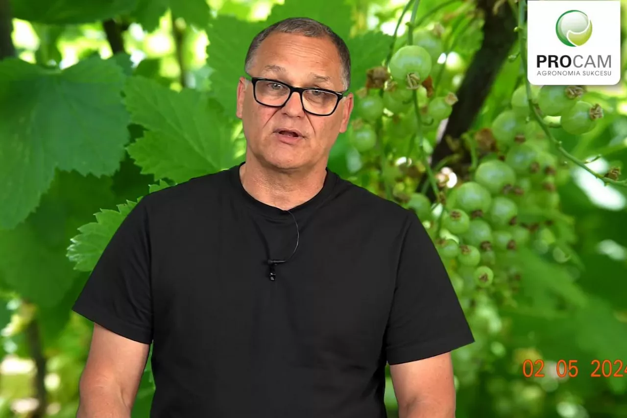 komunikat jagodowy procam