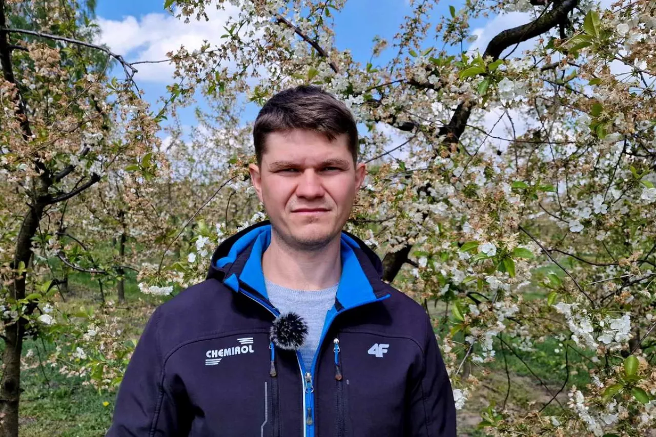 przymrozki w sadach wiśniowych