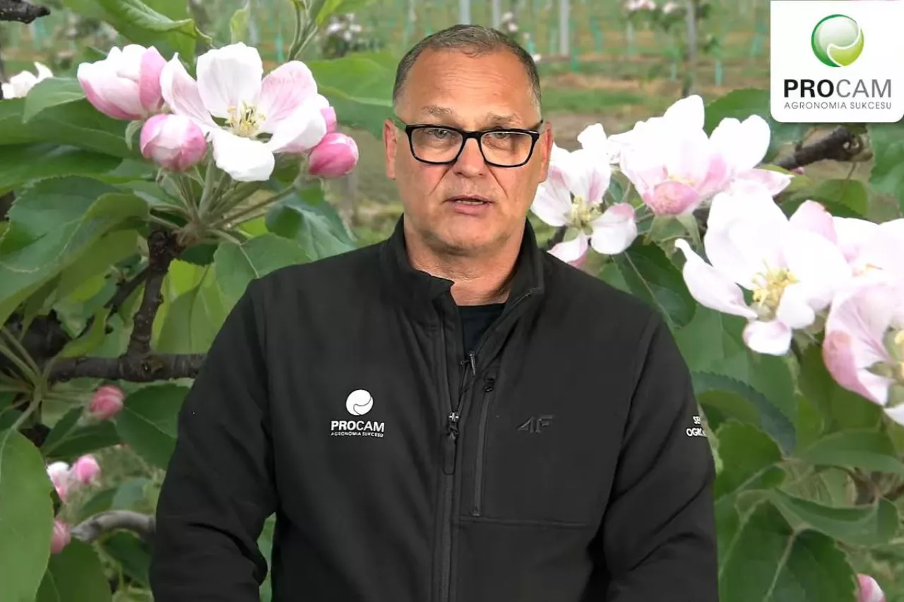 dr Krzysztof gasparski