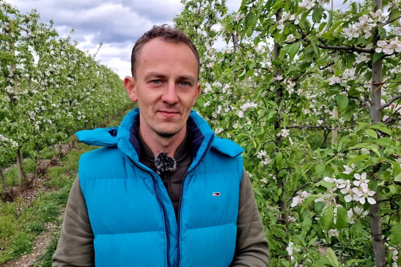 mateusz nowacki o przymrozkach