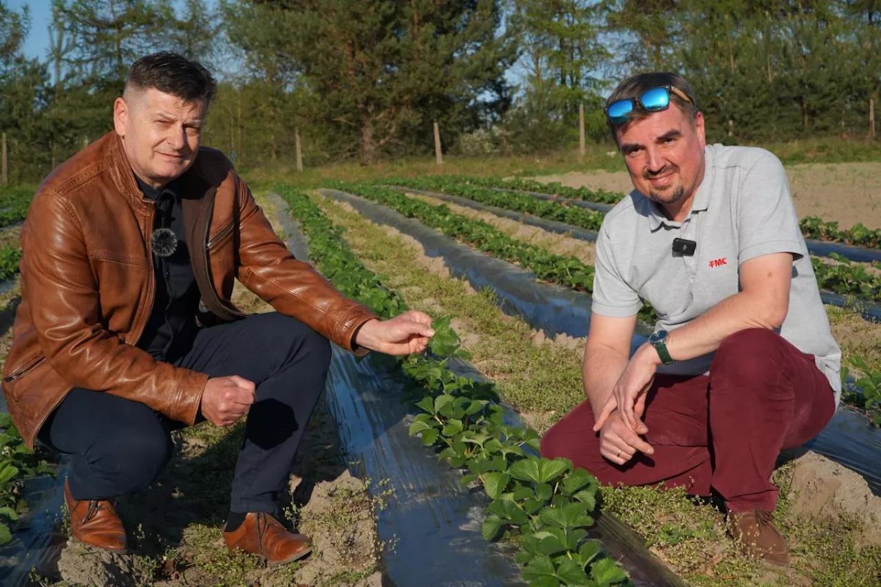 Zbigniew Jarosz Marcin Żabowski