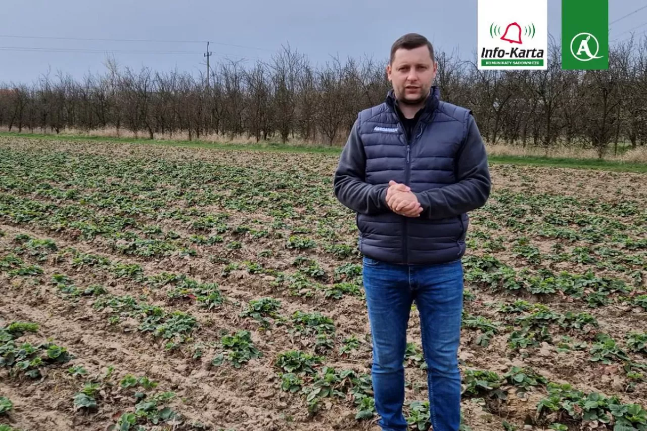 komunikat tomasz domanski