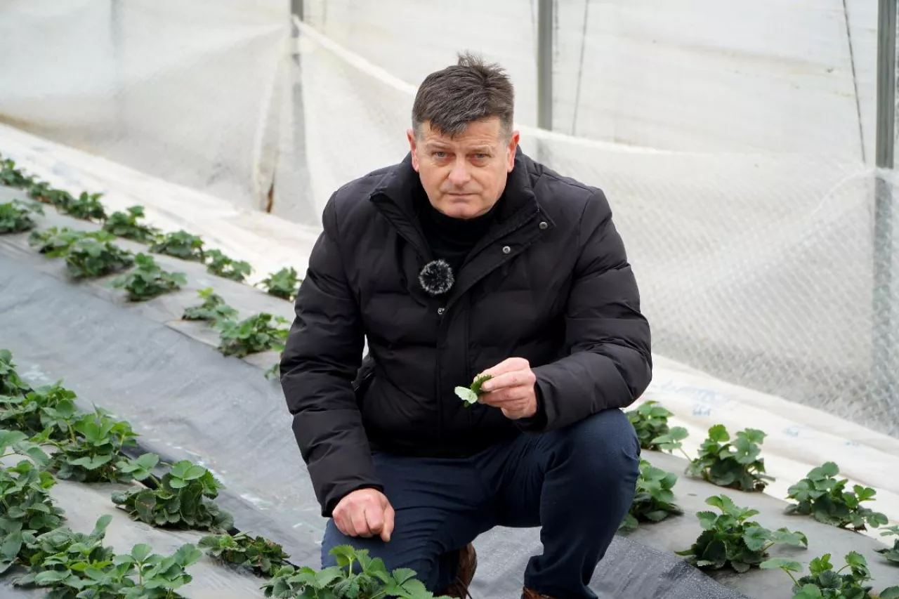 dr Zbigniew Jarosz Doradca Jagodowy