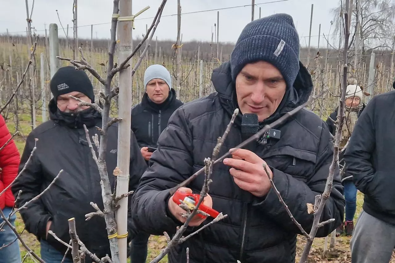 pokaz cięcia jabłoni Marcin Piesiewicz
