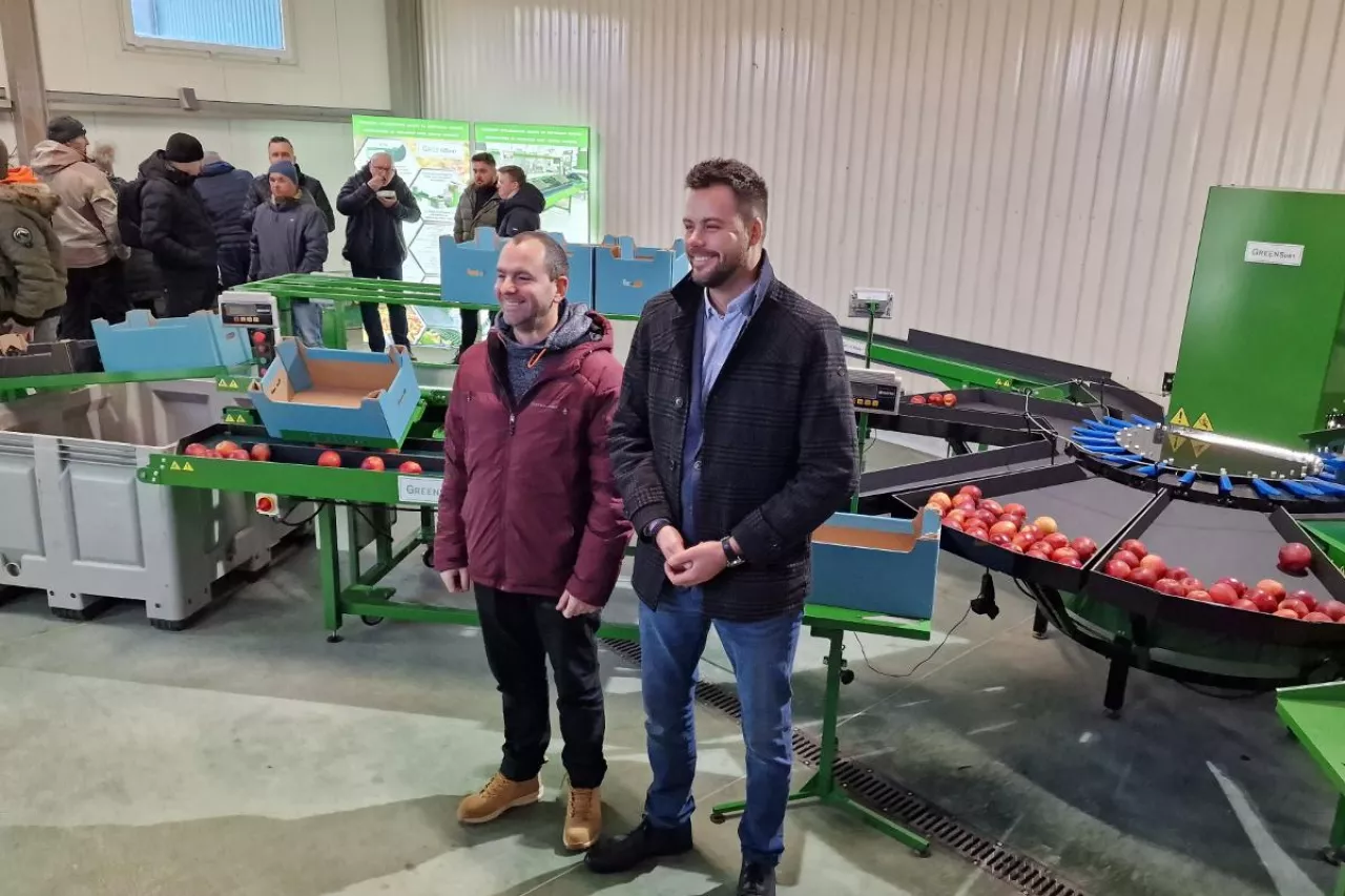 green sort sortownica