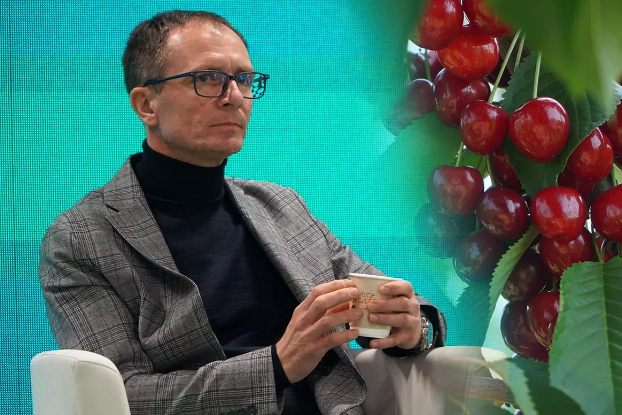 paweł pączka galster