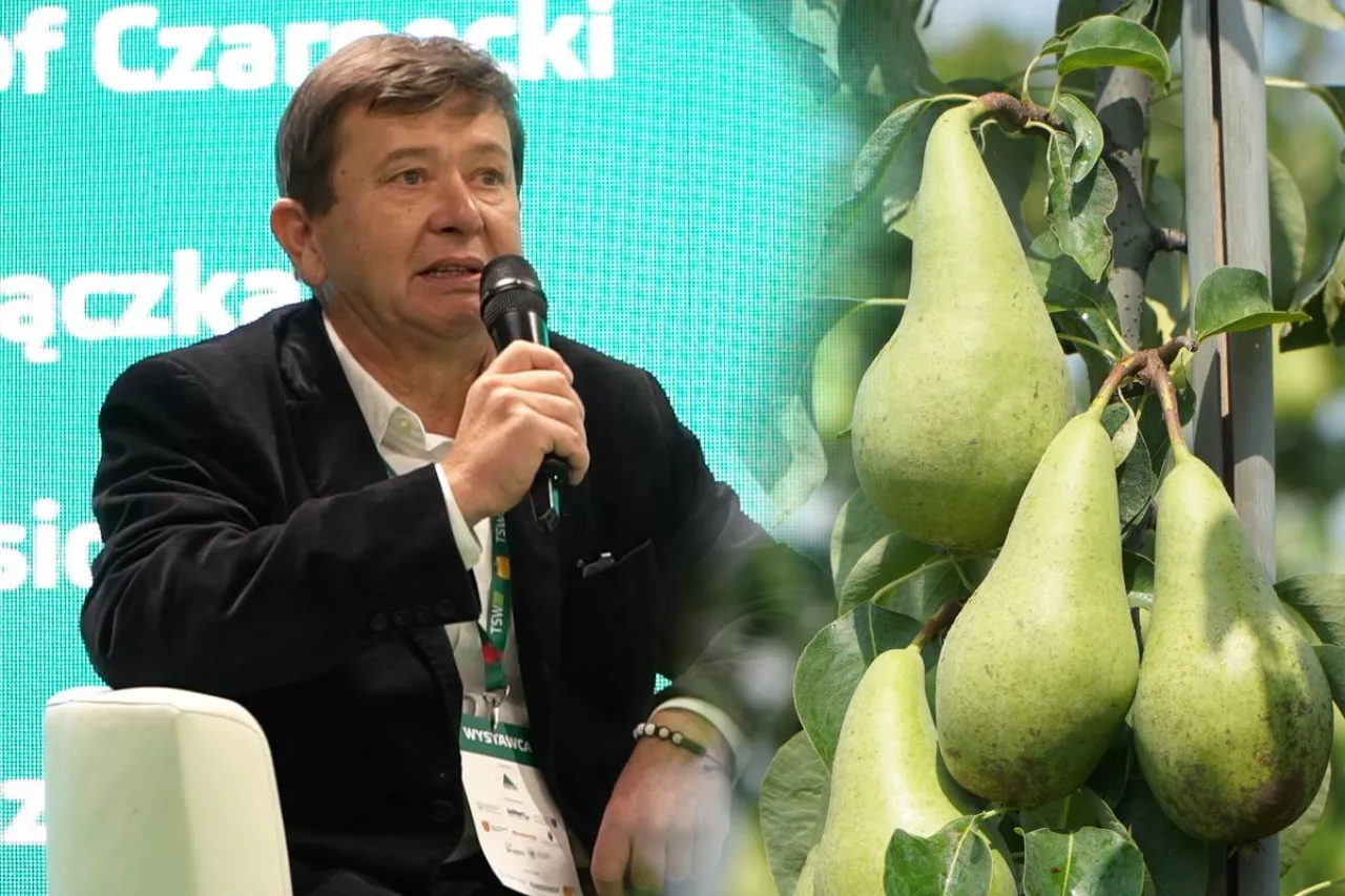 Wojciech Kot sadownik