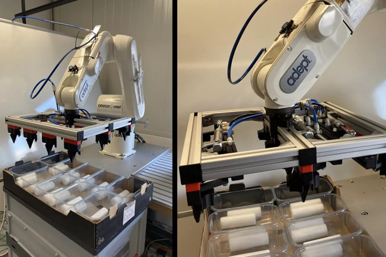 robotyzacja pakowania