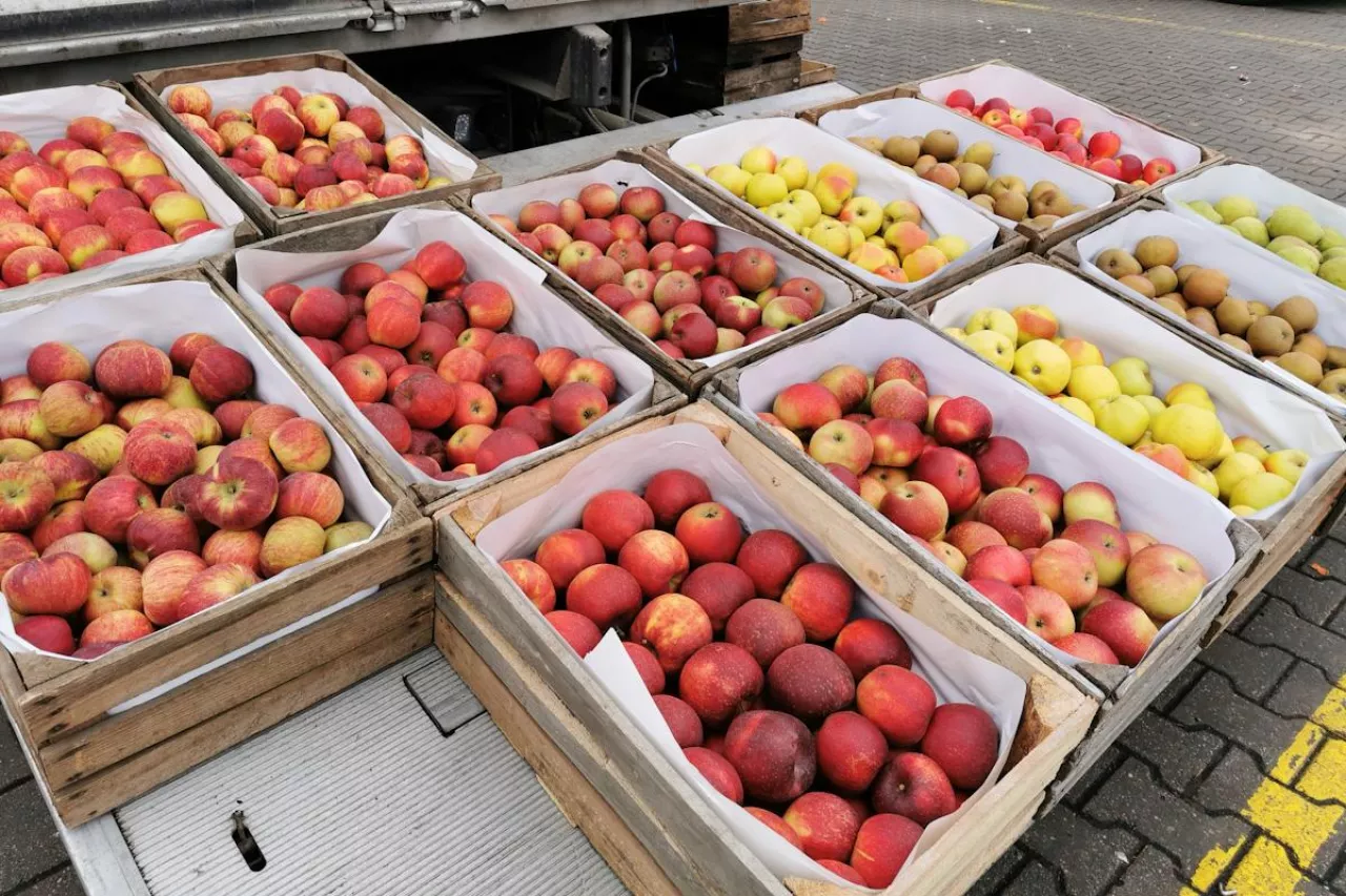 rynek hurtowy w broniszach