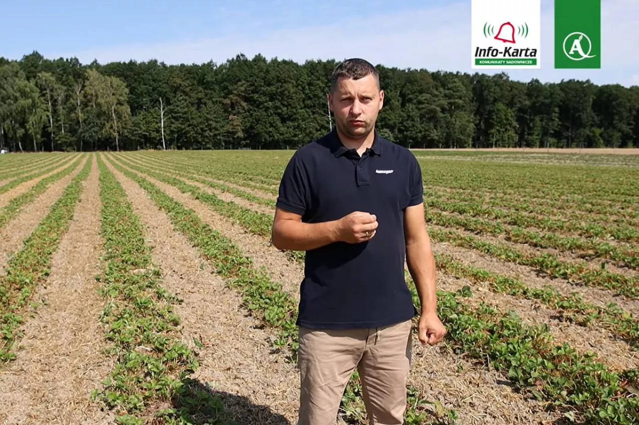 komunikat dla truskawek