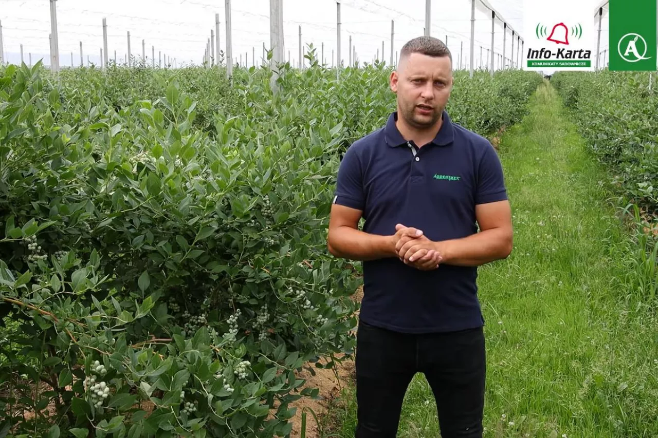 komunikat borówkowy