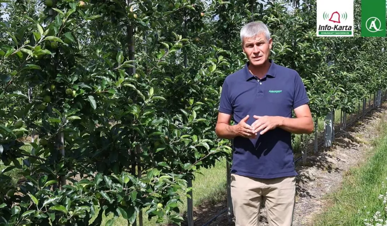 Robert Binkiewicz - Agrosimex - 28.06.2023 - komunikat sadowniczy