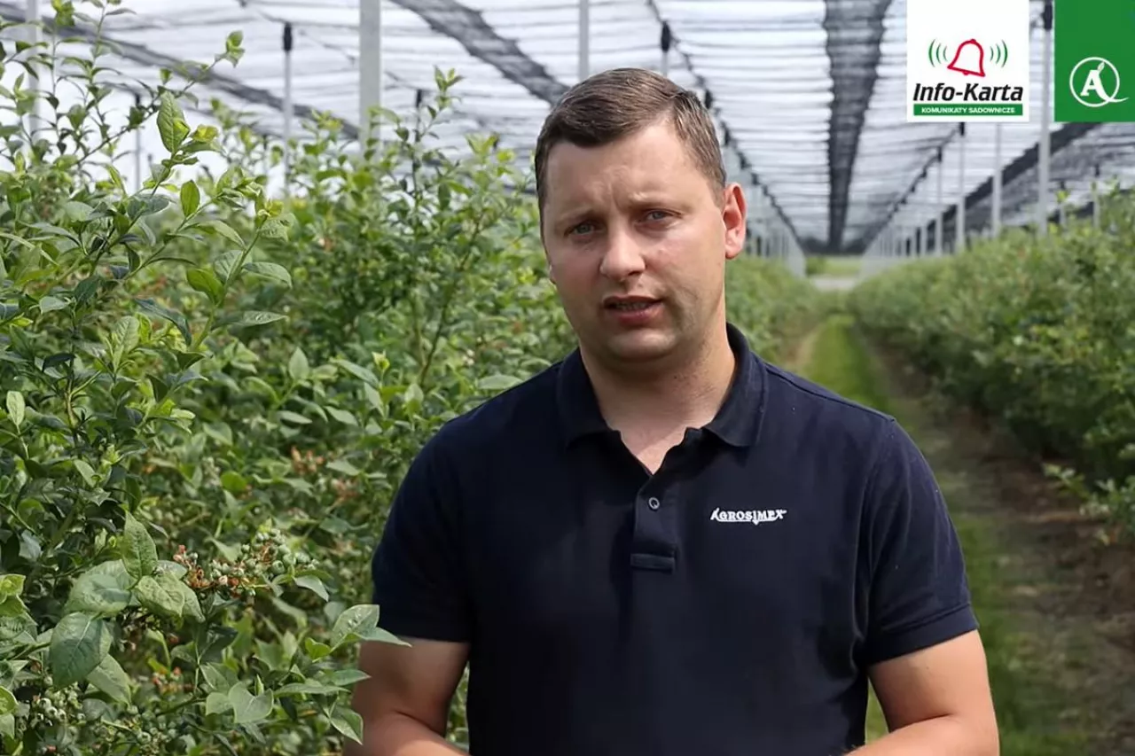 komunikat dla borowek