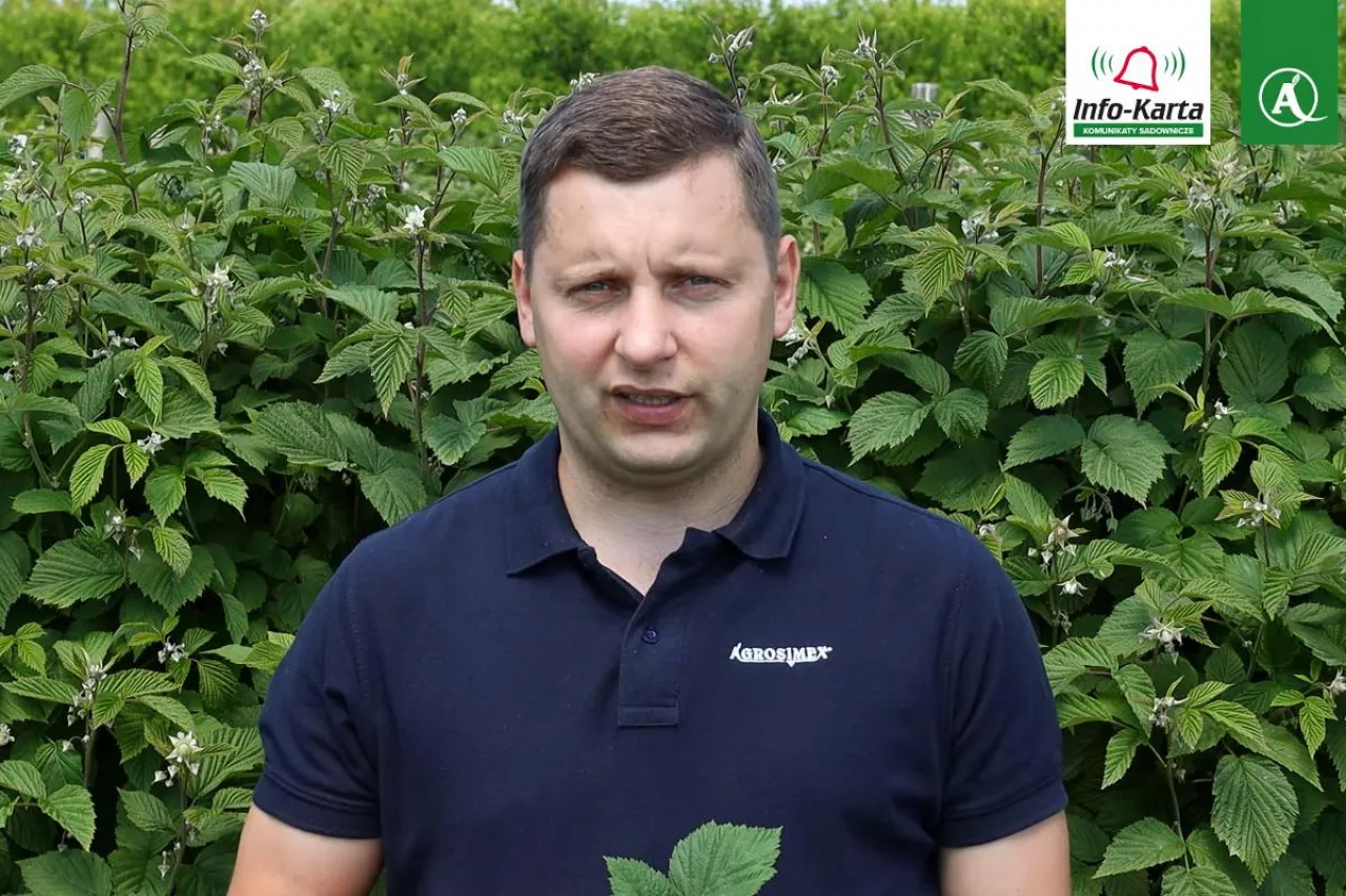 tomasz domanski agrosimex
