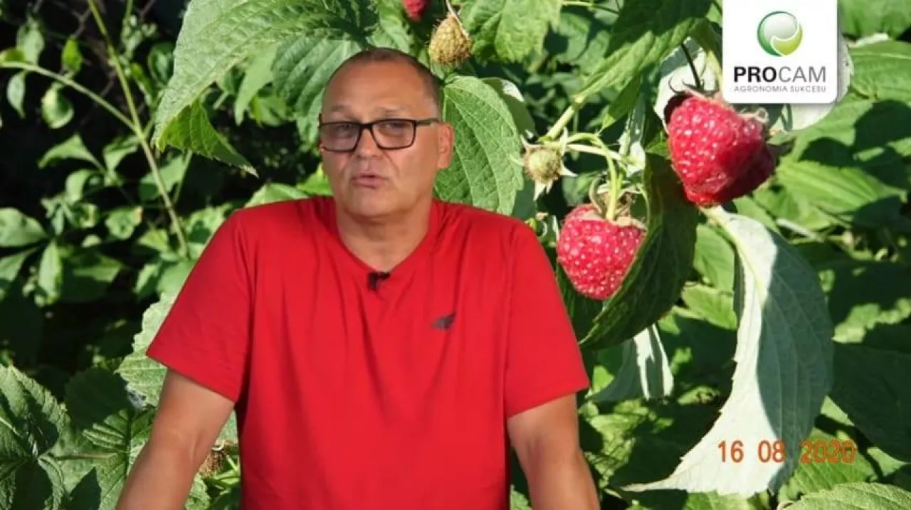 Krzysztof Gasparki Procam