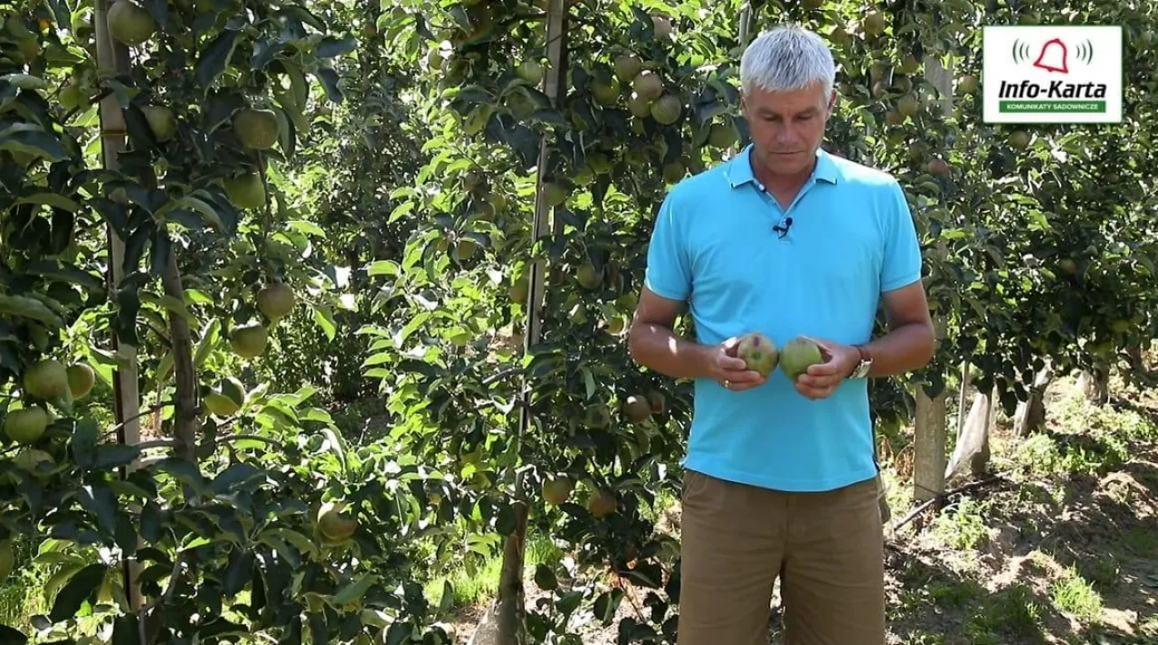 Komunikat sadowniczy Agrosimex z 14.08.2020