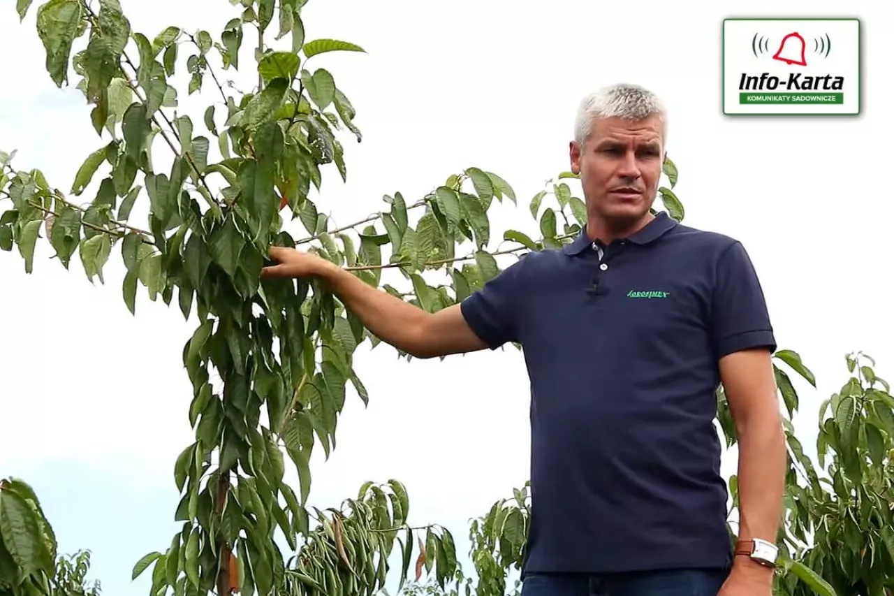 komunikaty sadownicze