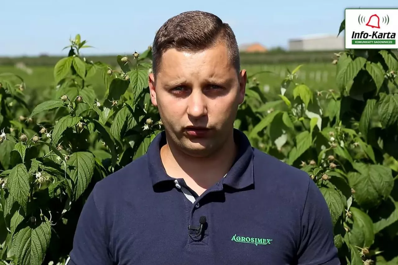 komunikaty sadownicze 2020