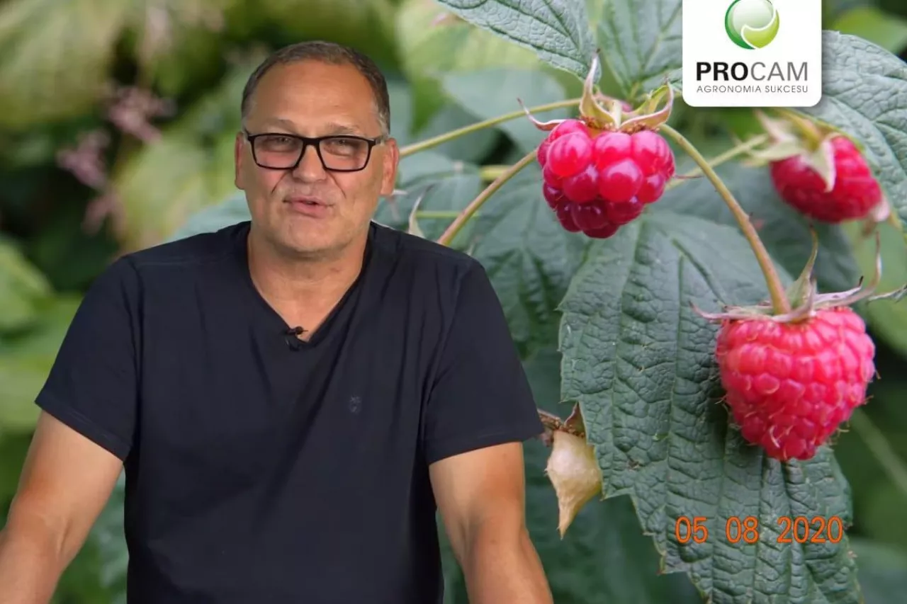 komunikaty sadownicze