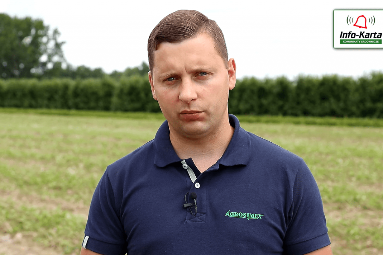 komunikat dla truskawek