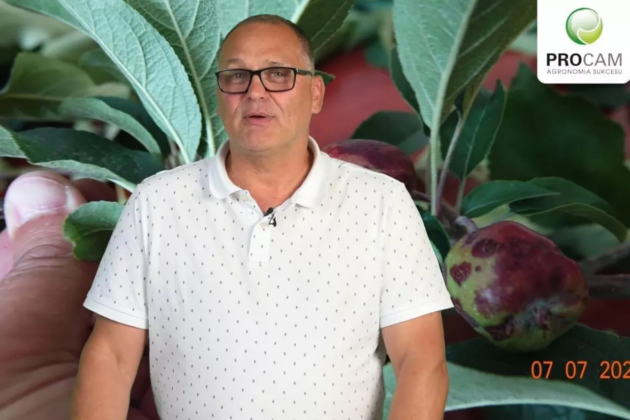 komunikat sadowniczy