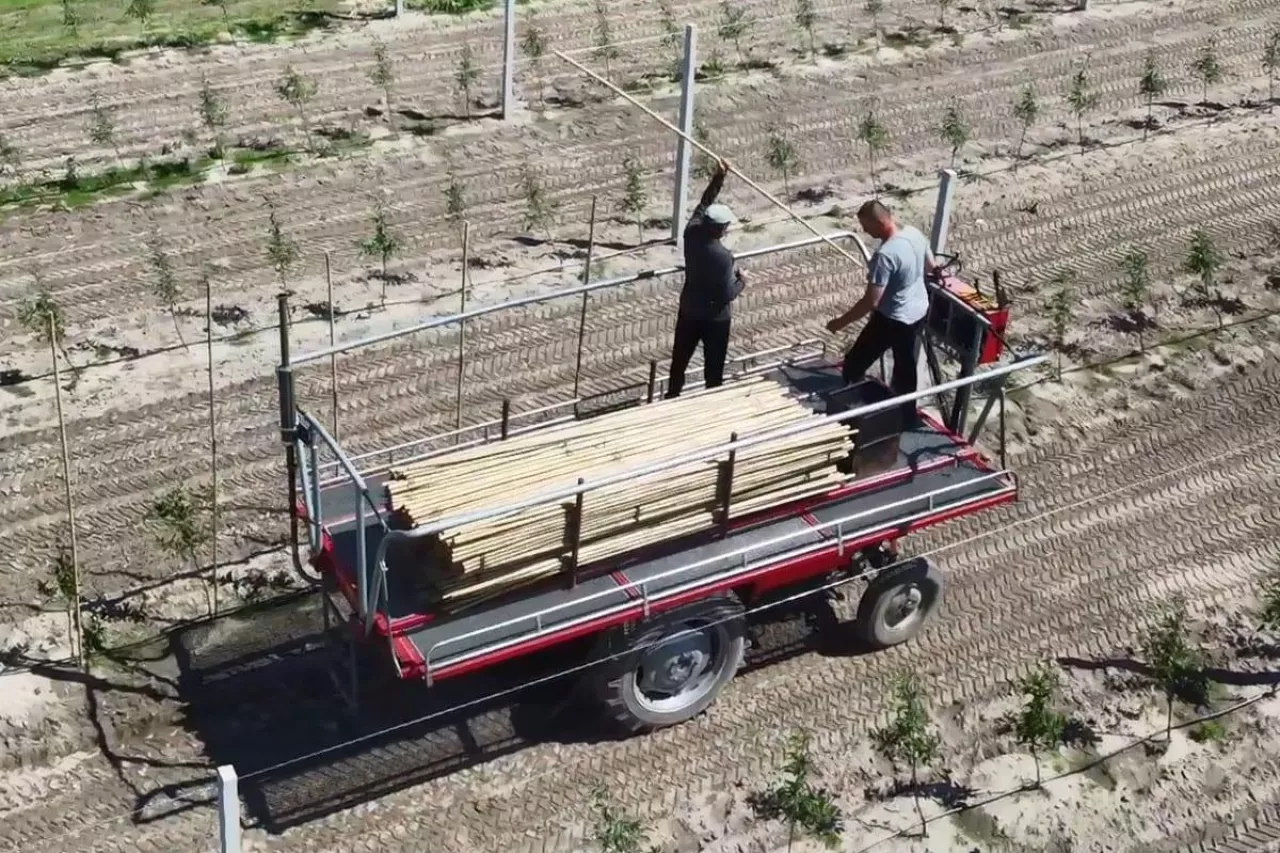 platforma sadownicza na ursusie c330