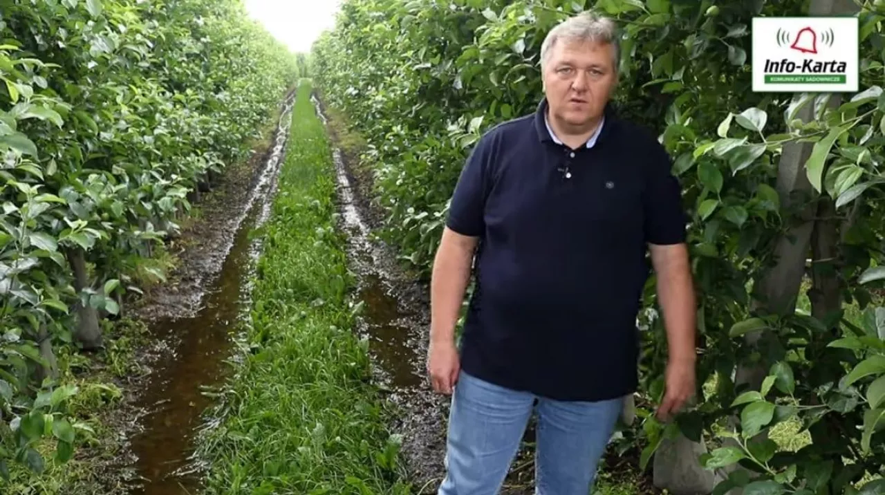Janusz Miecznik - Agrosimex