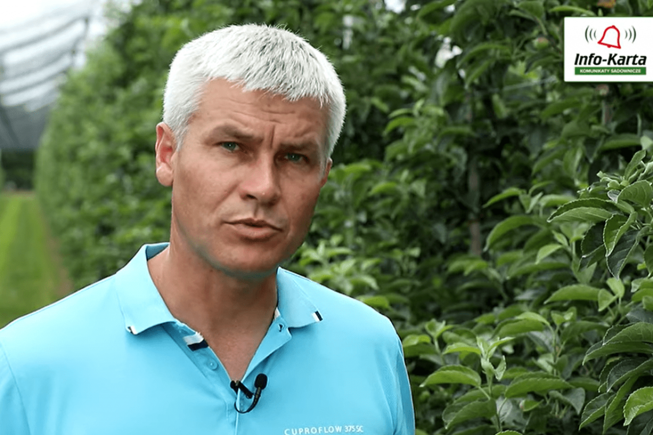 komunikat sadwoniczy