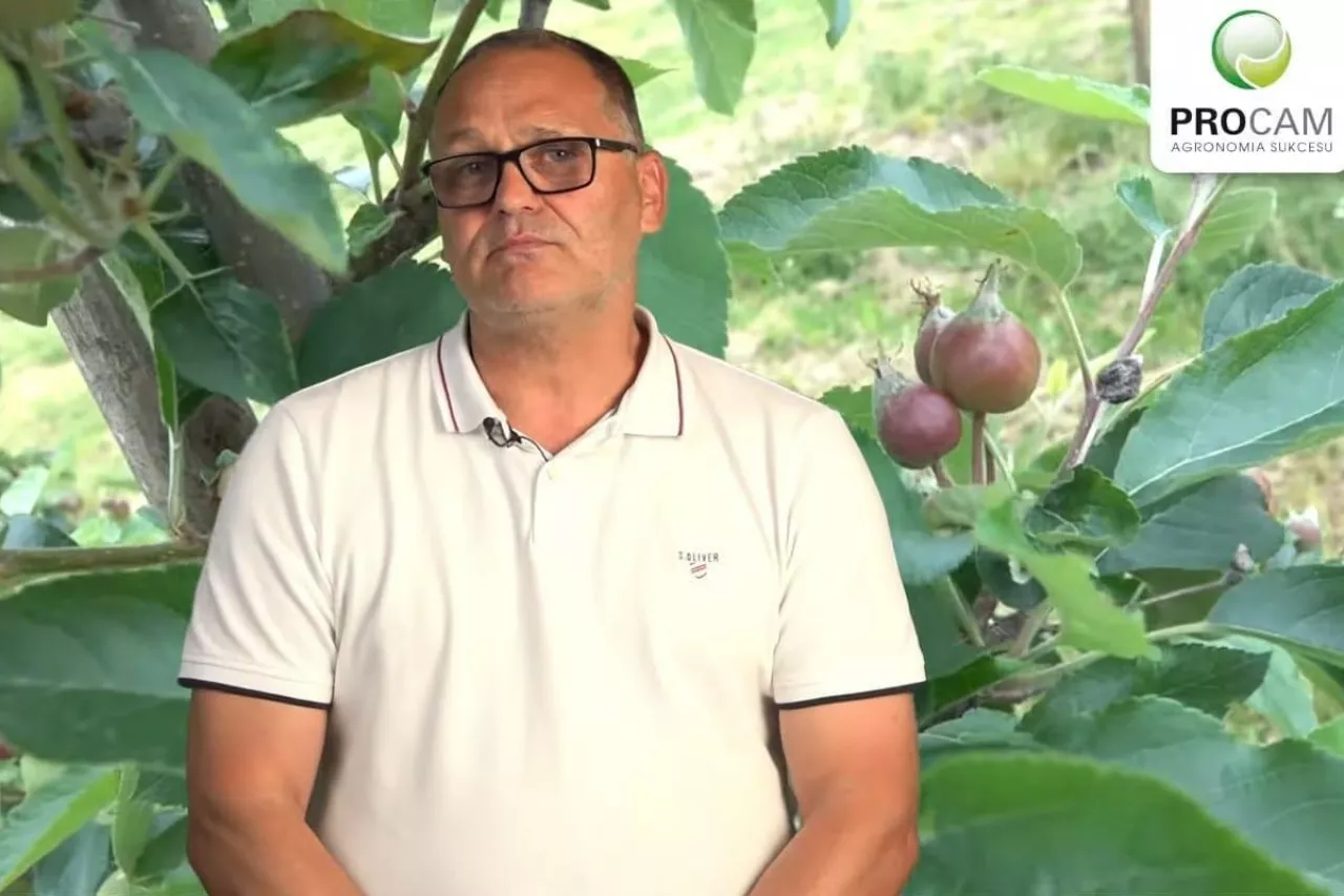 komunikaty sadownicze