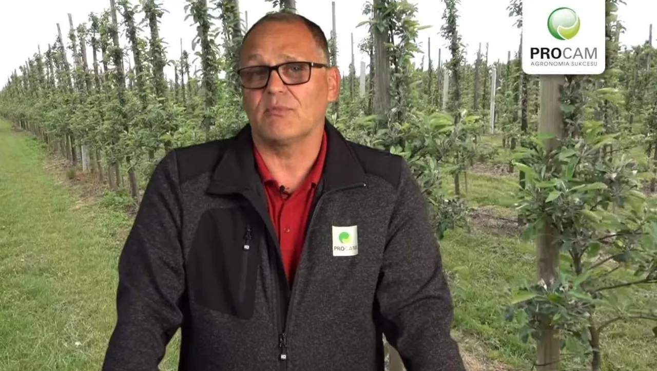 Komunikat sadowniczy PROCAM 12 z 03.06.2020