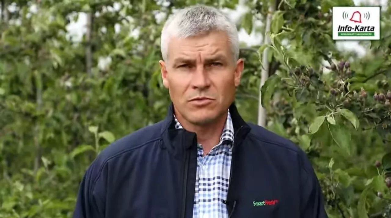 Wzrost owoców - ochrona i pozostałe zabiegi - komunikat sadowniczy Agrosimex