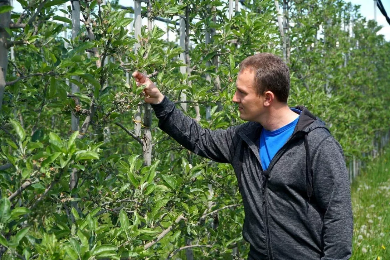 komunikat sadowniczy