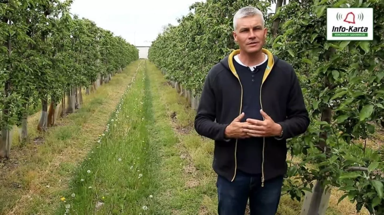 Komunikat sadowniczy – Robert Binkiewicz, Agrosimex, 20.05.2020