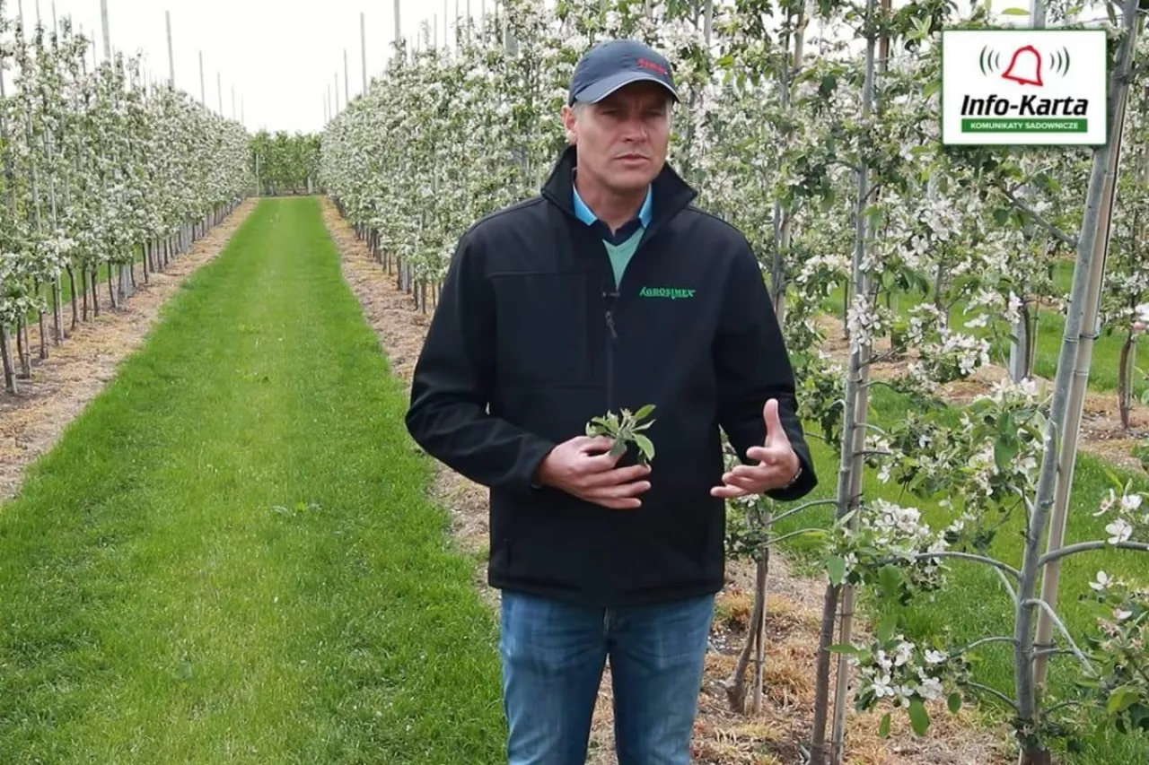 komunikaty sadownicze