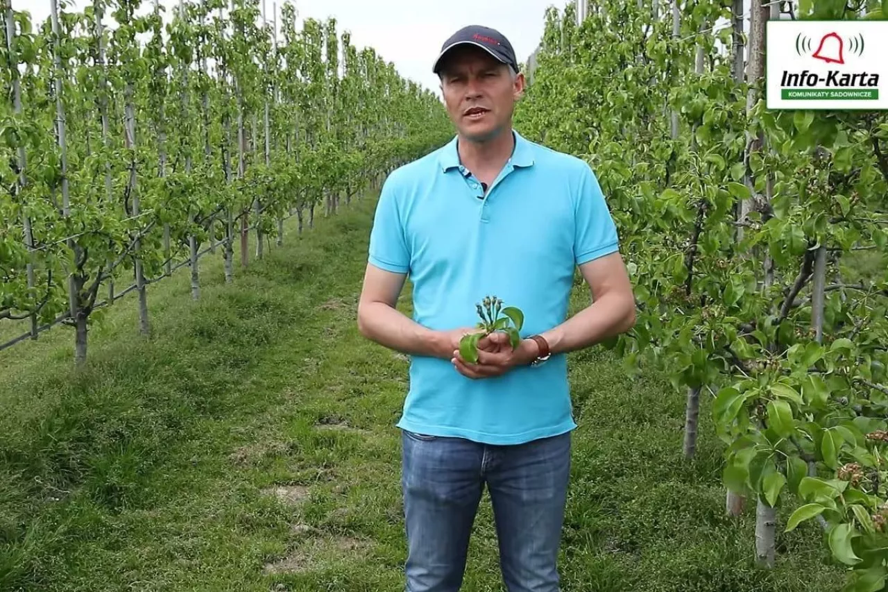 komunikat sadowniczy robert binkiewicz